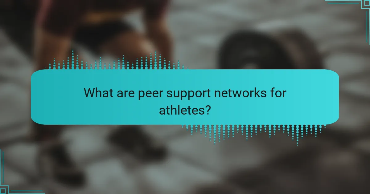 What are peer support networks for athletes?